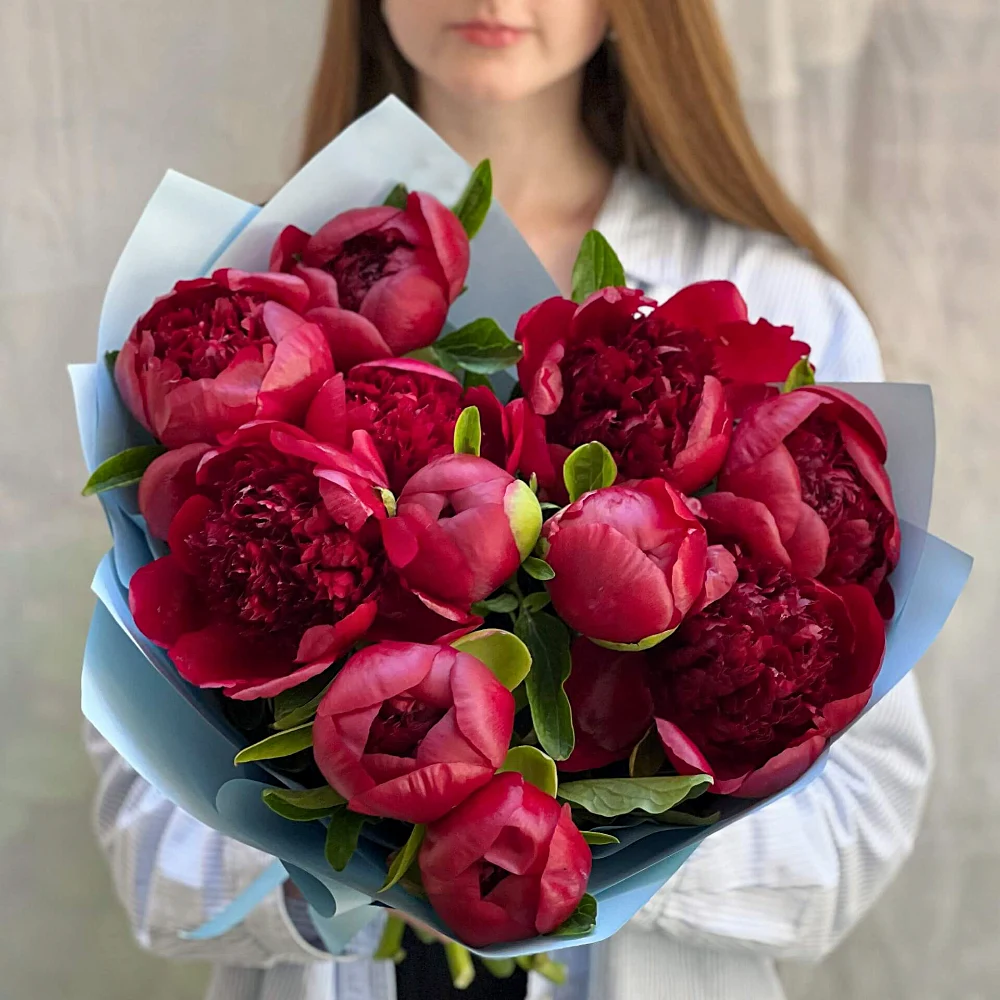 Красные пионы