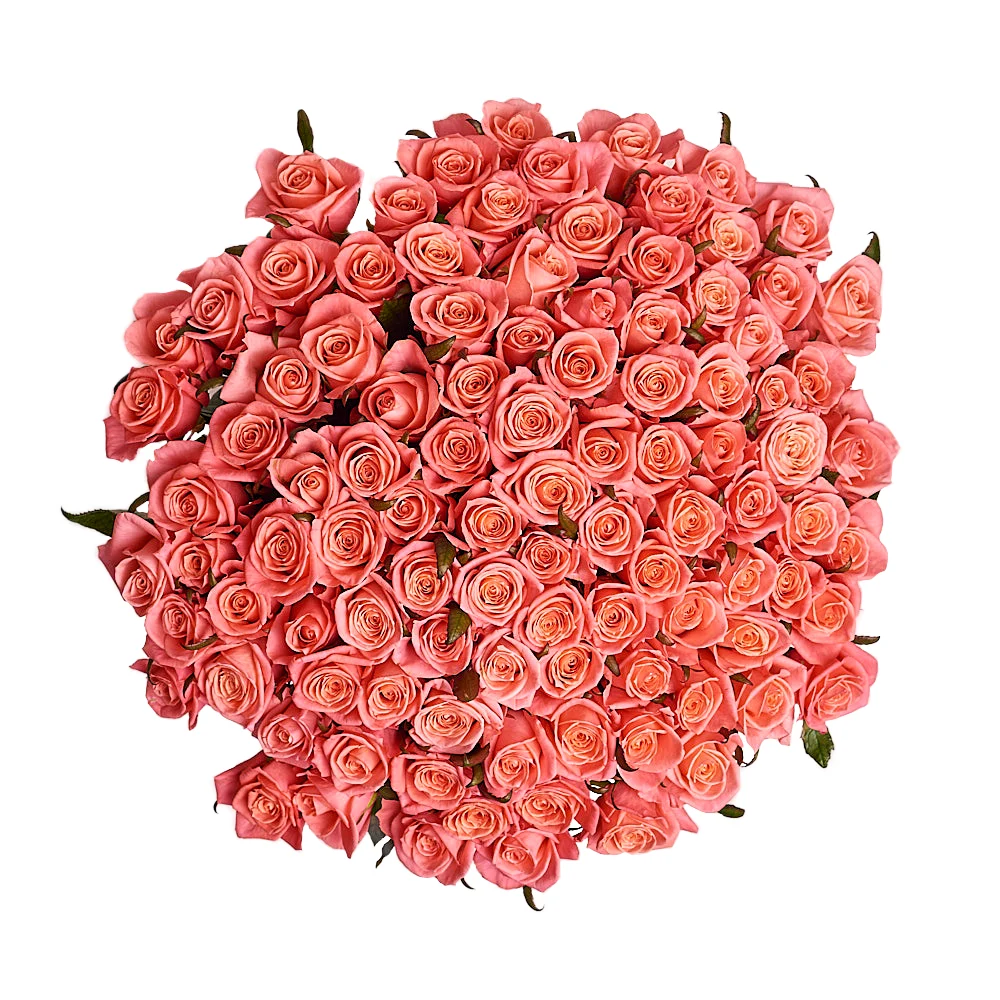 Букет из 101 коралловой розы (80см)