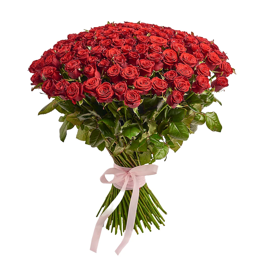 Букет из 101 красной розы (150см)