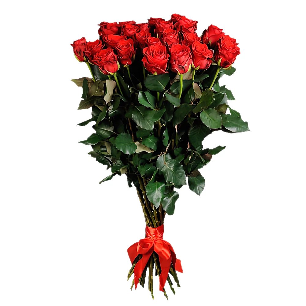 Букет из 25 гигантских красных роз (120см)